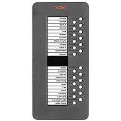 Avaya BM12 Button Module